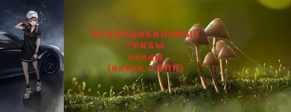 кокс Майский