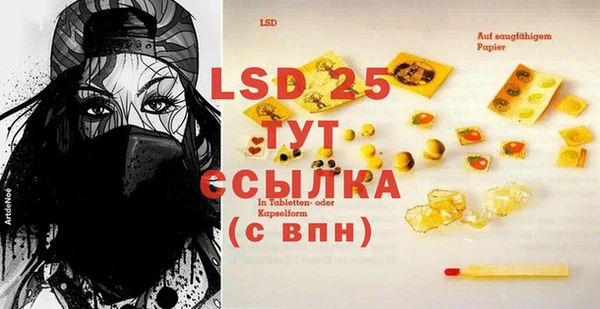 ГАЛЛЮЦИНОГЕННЫЕ ГРИБЫ Лиски